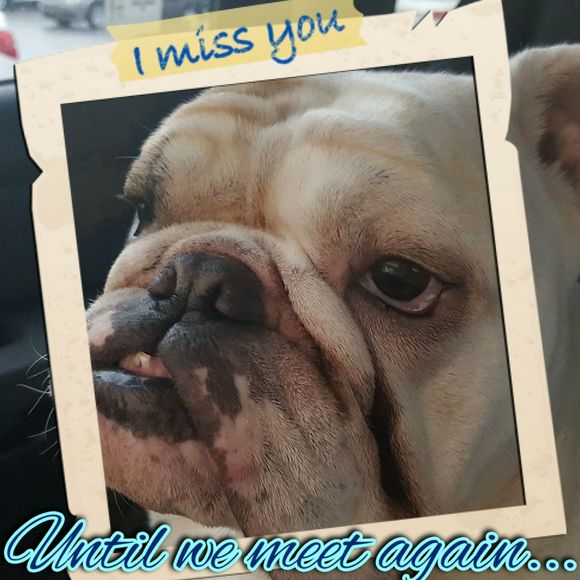 Meet your Posher, Diana - Picture 1 of 1